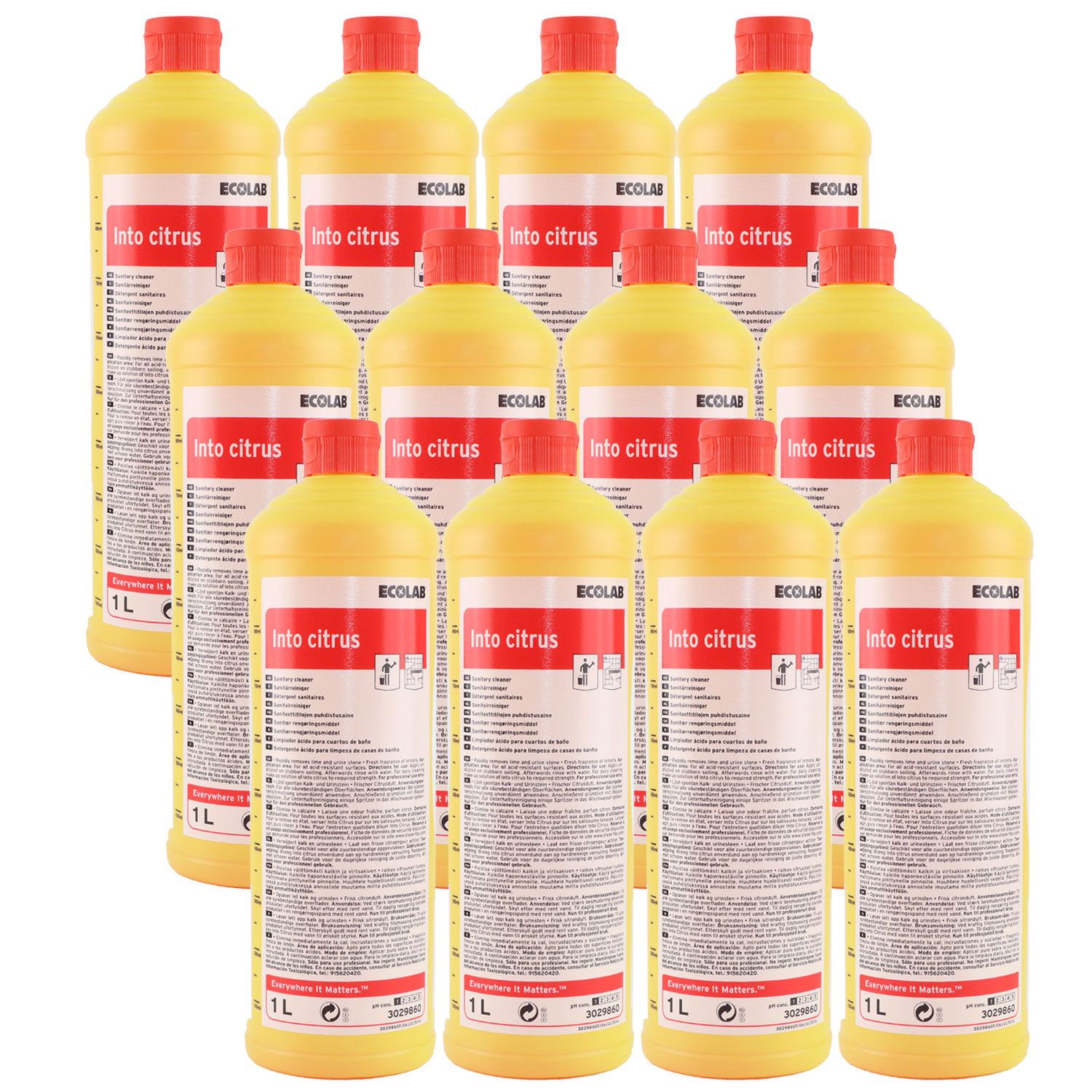 Ecolab Into Citrus 12 x 1 Liter Sanitär Kraftreiniger Bad WC Reiniger